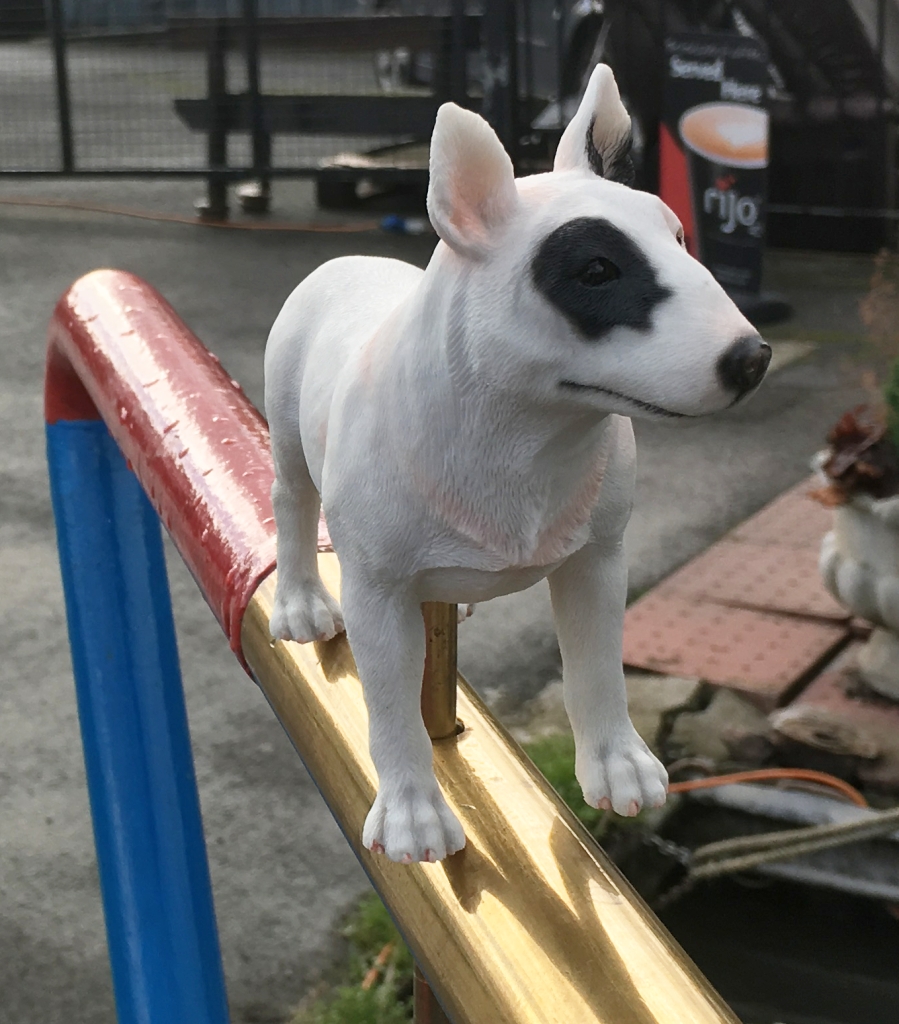 Bull Terrier (image for) Bull Terrier